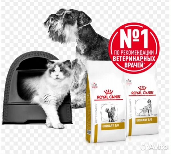 Корм для собак royal canin