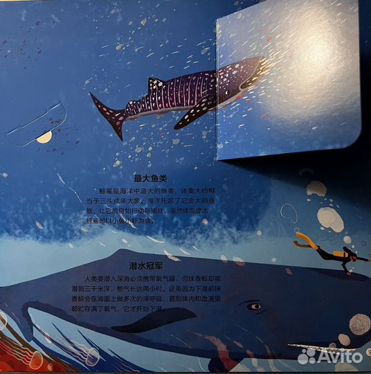 2 книги для детей па китайском языке