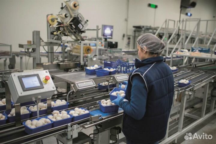 Сортировщик