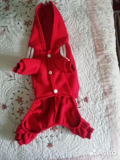 Толстовка для маленьких собак