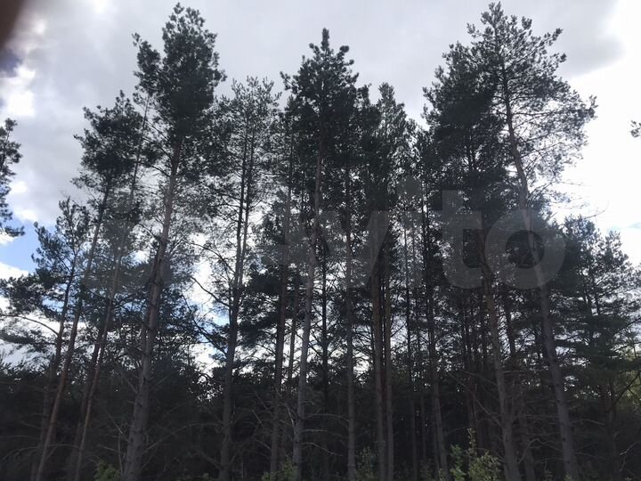 Участок 57 га (СНТ, ДНП)