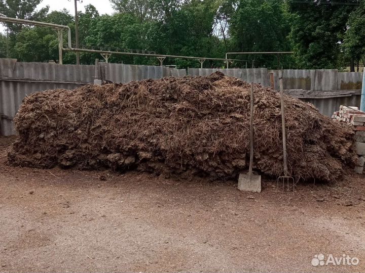 Навоз коровий бесплатно