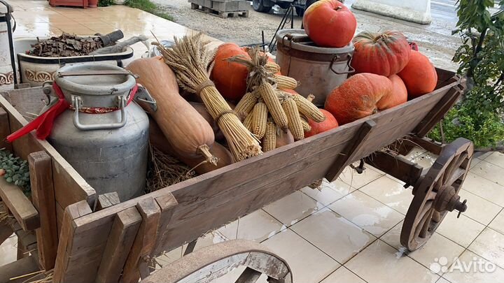 Телега бричка арба