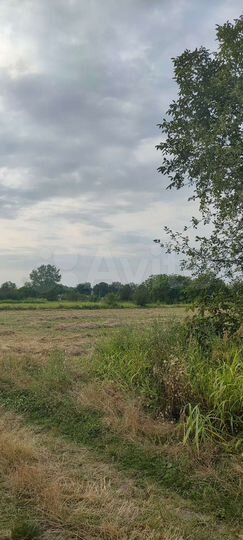 Участок 15 сот. (ИЖС)