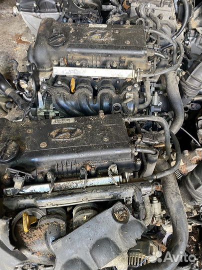 Двигатель kia rio hyundai solaris G4FC