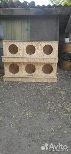 Куриные гнезда с яйцесборником