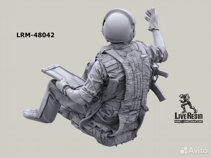 Миниатюра Live Resin LRM48042