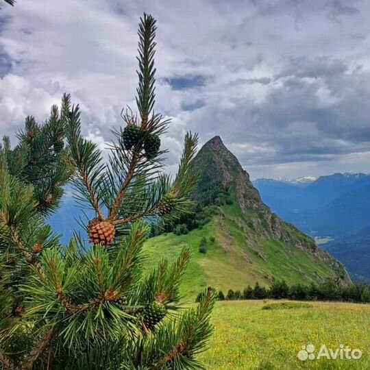 Индивидуальные экскурсии