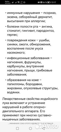 Индийский лук, или Птицемлечник хвостатый