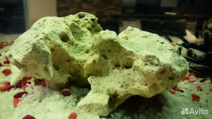 Камни для аквариума и полезный подарок