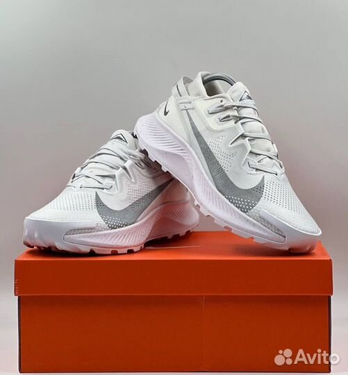 Кроссовки мужские Nike Pegasus Trail 2