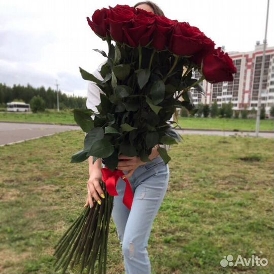 Розы Высокие Метровые Полутораметровые и Двухметро