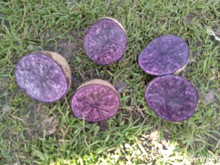 Семена фиолетового картофеля для диабетиков