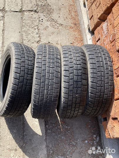 Dunlop Winter Maxx WM01 175/70 R13