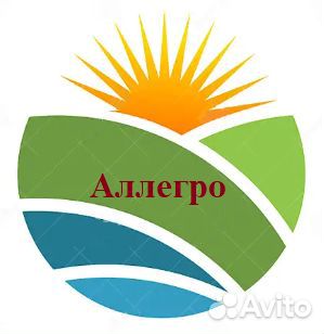 Главный бухгалтер