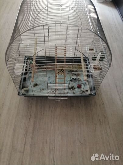Огромная клетка для попугая