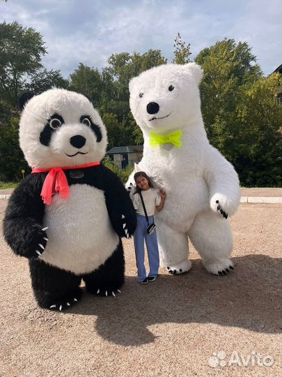 Белый медведь и панда