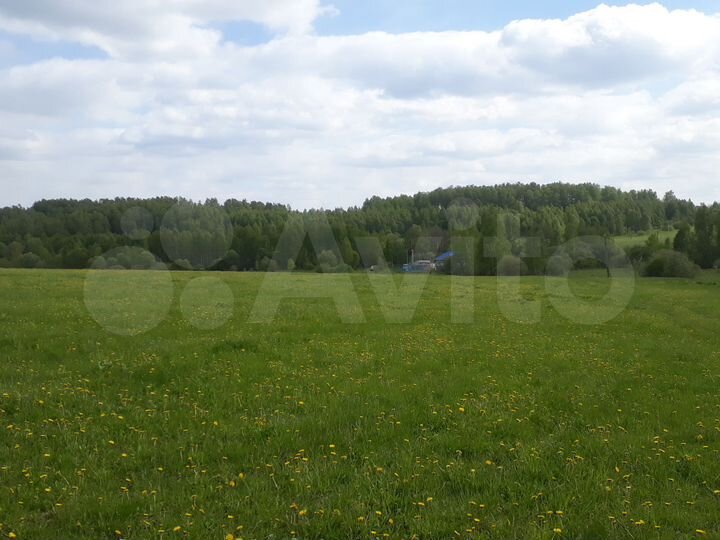 Участок 100 га (СНТ, ДНП)