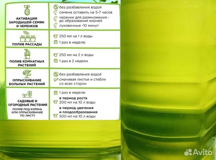 Хлорелла для очистки водоёма