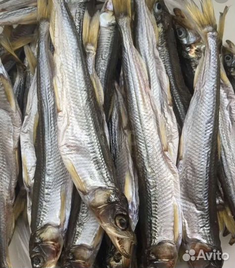 Корюшка вяленая с икрой