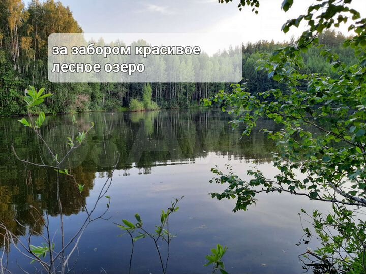 Участок 10 сот. (СНТ, ДНП)