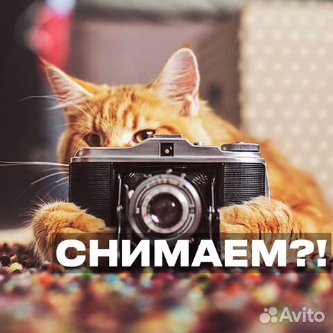 Видеооператор видеограф