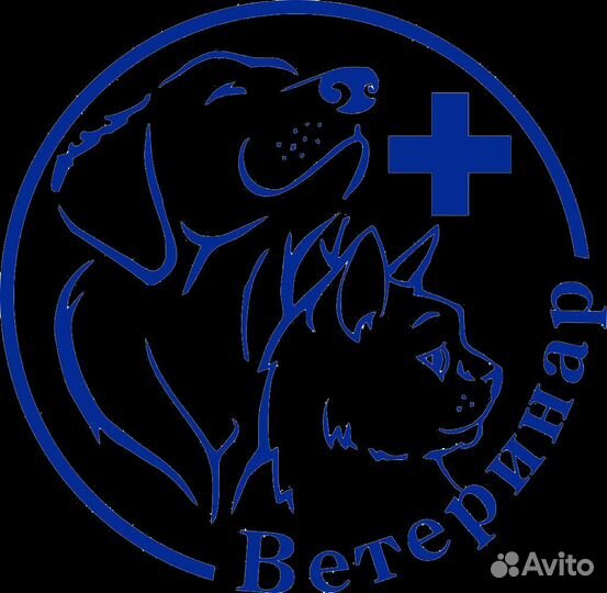 Ветеринарные услуги на дому