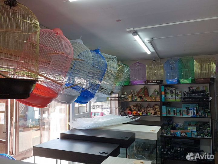 Неразлучники/волнистый/клетки