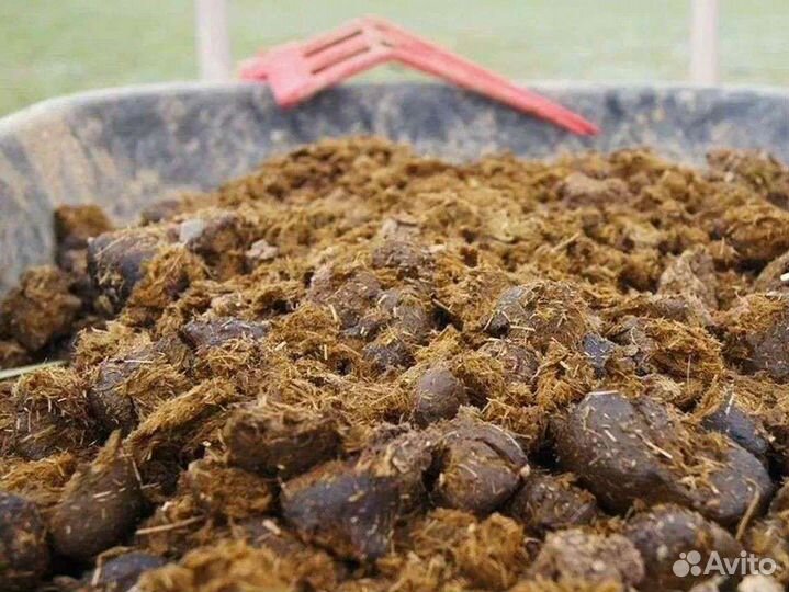 Конский навоз без опилок