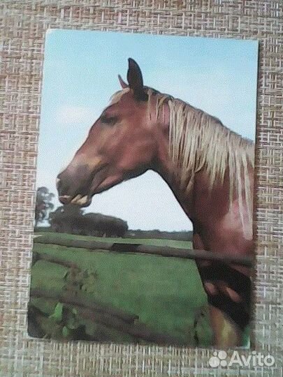 Открытки, приглашения 70-х, 80-х, 90-х (обмен)