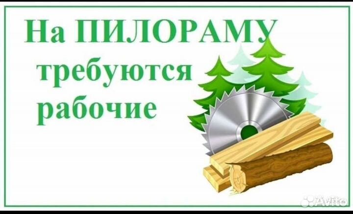 Рабочие на пилораму