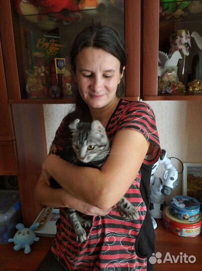 Передержка кошек собак и птиц