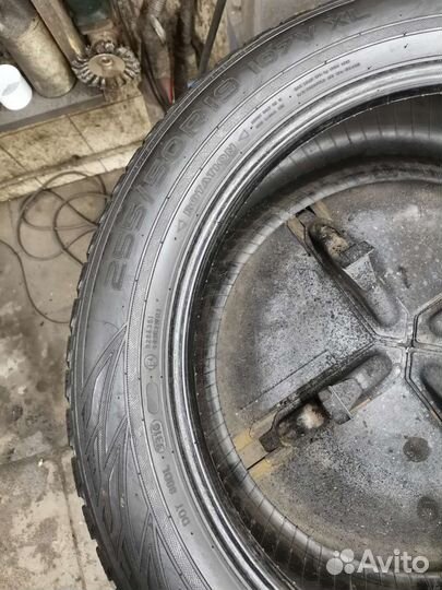 Nokian Tyres WR SUV 3 255/50 R19