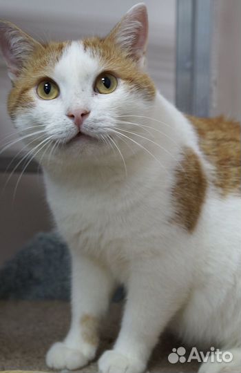 В ожидании семьи