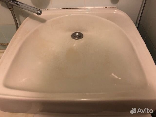 Раковина кувшинка