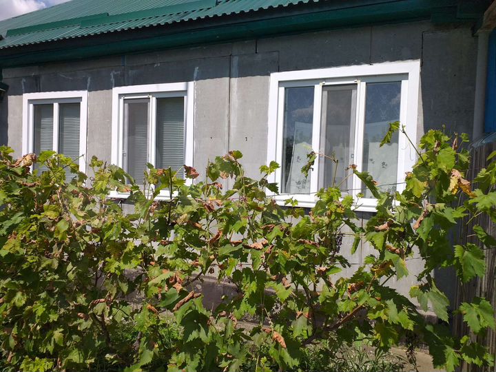 Дом 44,5 м² на участке 14 сот.