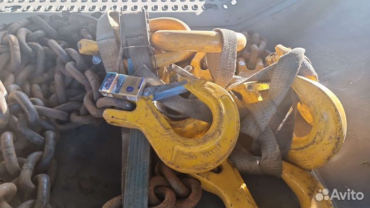 Паук цепной