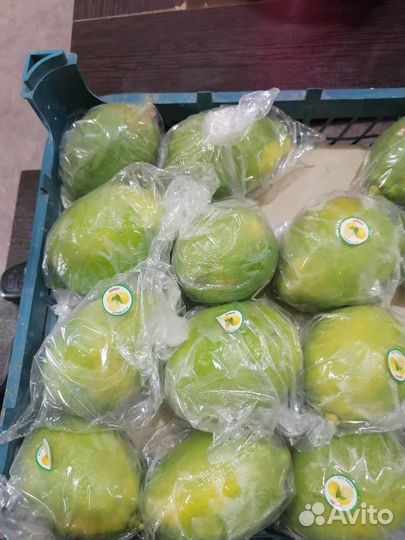 Ищу инвестора в сезонный бизнес