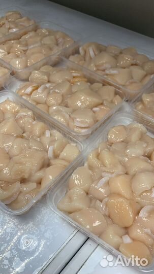 Продажа свежих морепродуктов