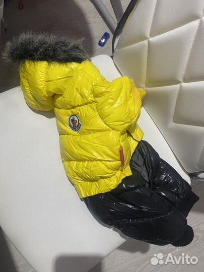 Костюм зимний для собак