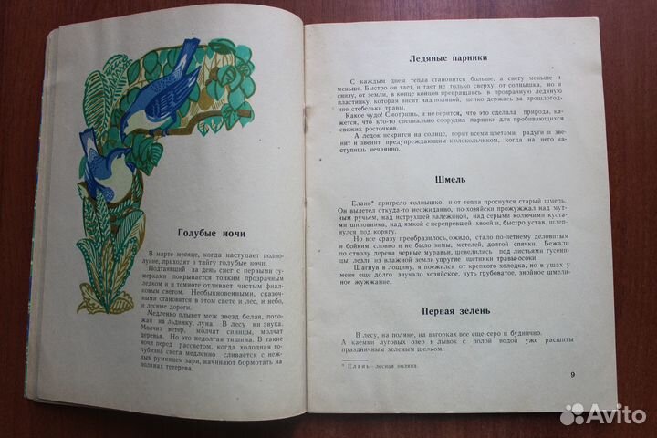 Волокитин Н. Лесные подарки.1973г