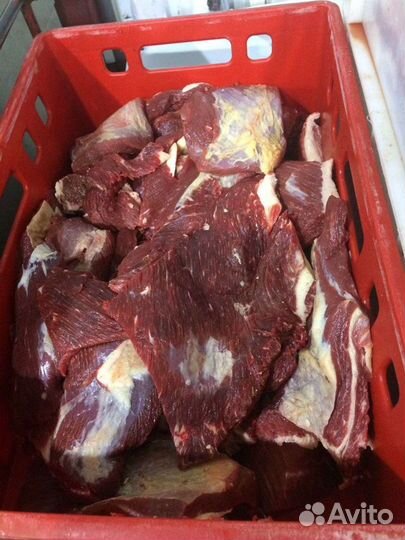 Говядина для детского питания