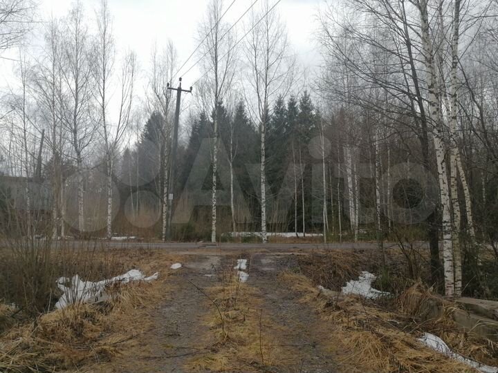 Участок 23 сот. (СНТ, ДНП)