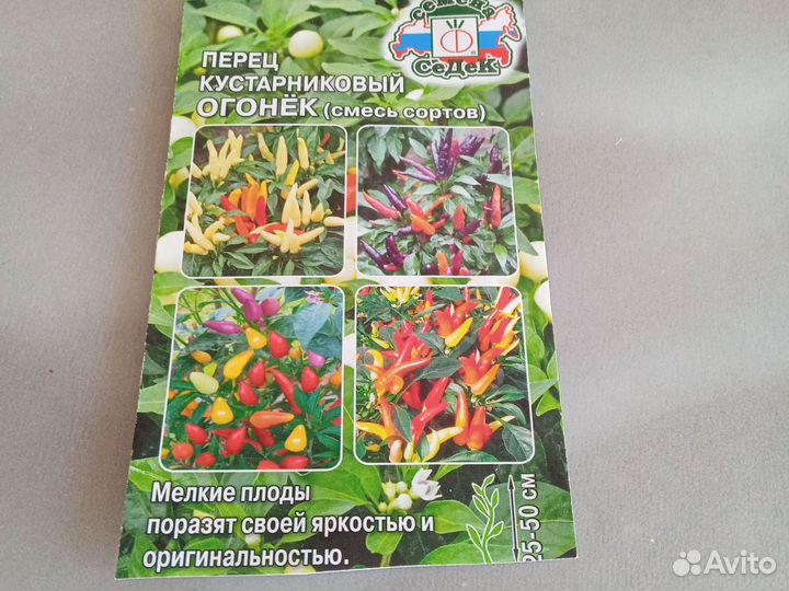 Рассада комнатных перчиков