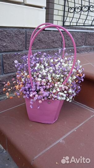 Гипсофила в сумочке