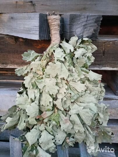Дубовые веники для бани