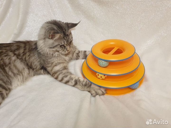 Игрушка для кошек пирамидка с шариками