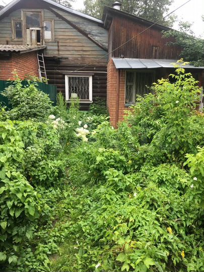 Дом 51,5 м² на участке 4,4 сот.