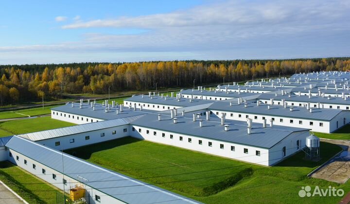 Подсобный рабочий на производство