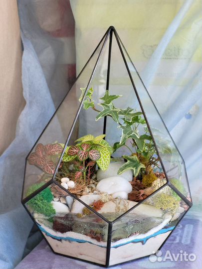 Живые влаголюбивые растения в вазе бонсай